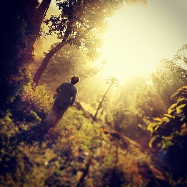 Zobaczcie jakie zdjęcia można zrobić smartfonem. Galeria nagrodzonych prac 5