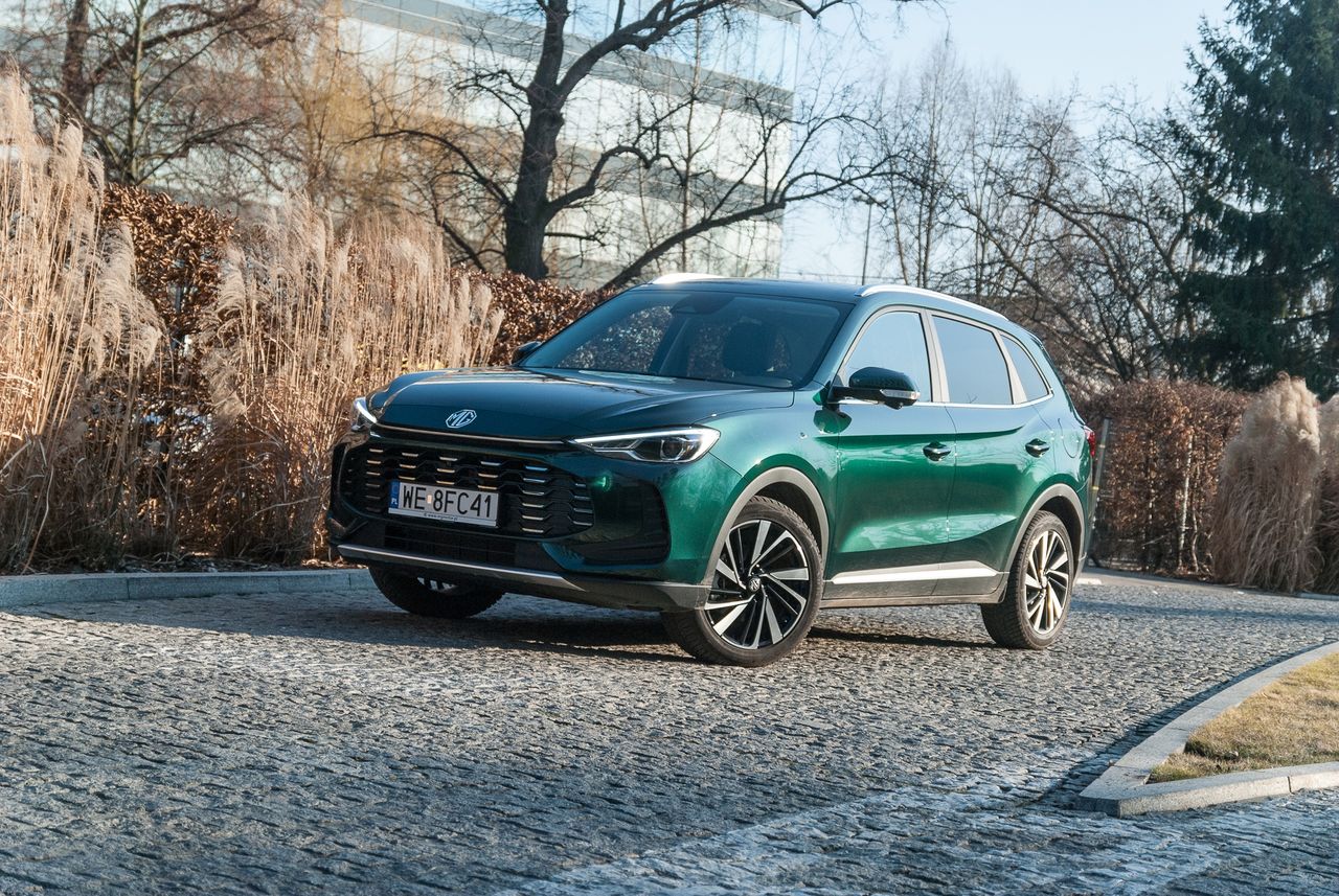 Dwukrotny wzrost sprzedaży. Świetny miesiąc Chińczyków na europejskim rynku