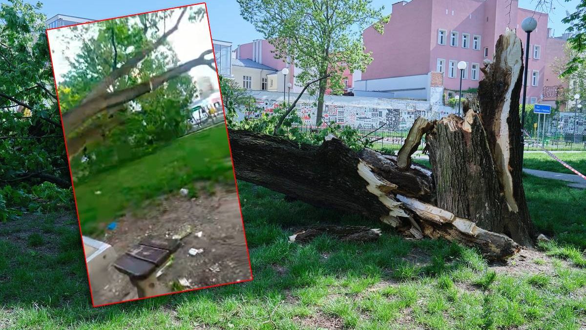 Drzewo spadło na plac zabaw w centrum Lublina