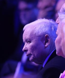 PiS ma teraz wygraną w kieszeni? Reakcje po "bombie" od prezesa