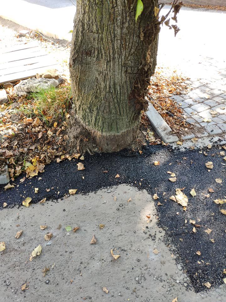 Niewłaściwe wykończenie wokół drzew w parku