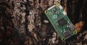 Nowy ekran Raspberry Pi. Ta sama rozdzielczość, lepsza cena