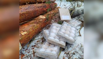 Z Lidla do lasu. Kilka opakowań. "To nie jest przypadek"