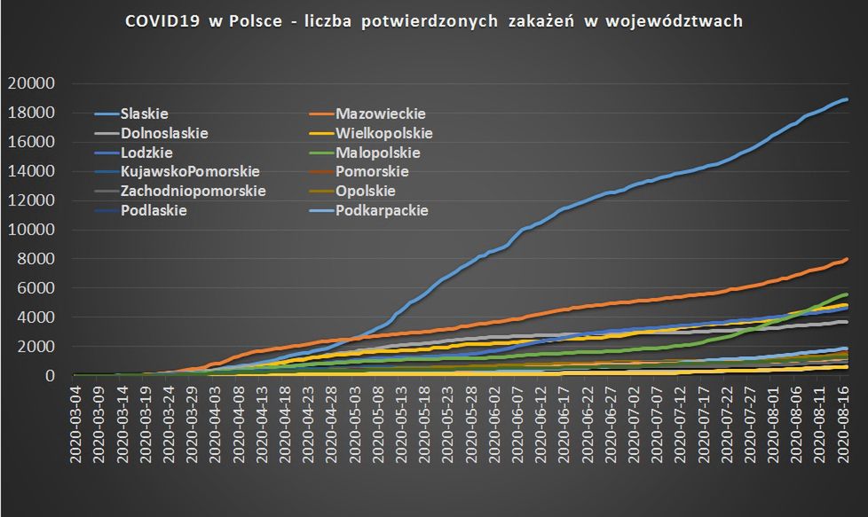 (ExMetrix, Fot: wp.pl)