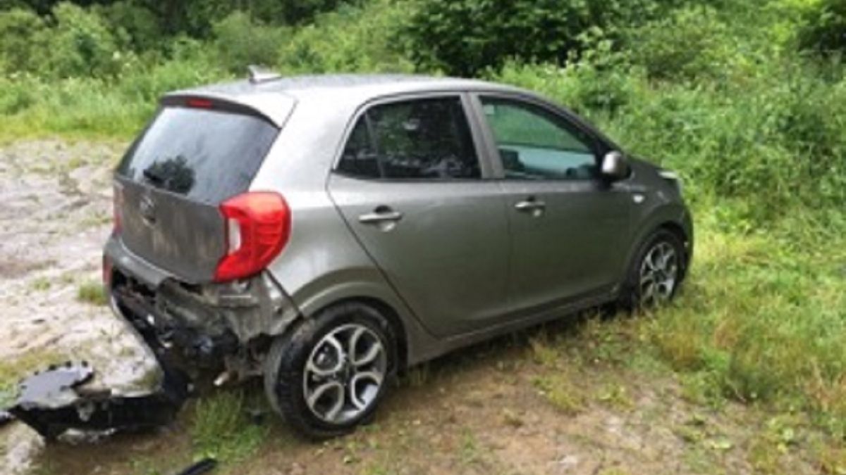 Niedźwiedź włamał się do auta. Wyczuł jedzenie. 