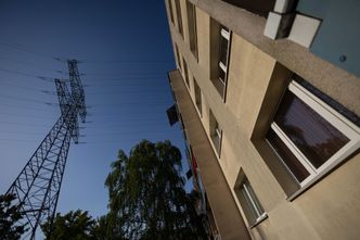 Notowania spółek energetycznych wyraźnie wzrosły. Reakcja na decyzję rządu