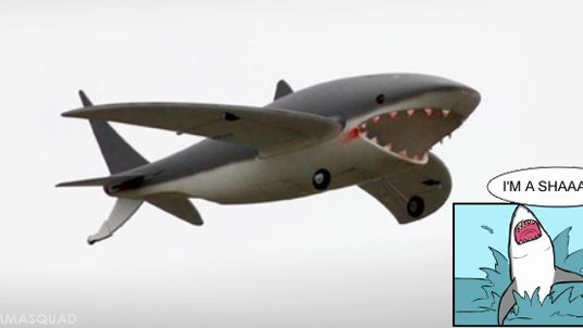 Samolot czy latająca ryba? 1