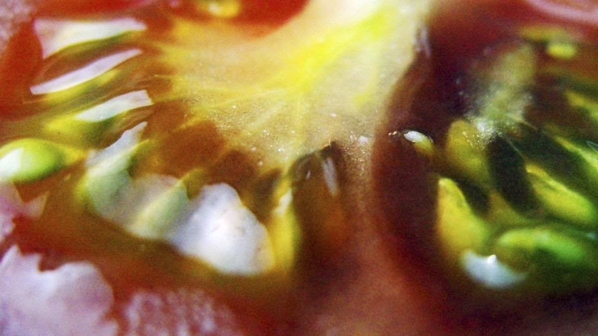 Close up of a Tomato
Richard Newstead