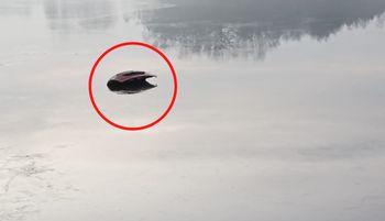 To nie fotomontaż. 27-latek jechał "elektrykiem". Tak skończył