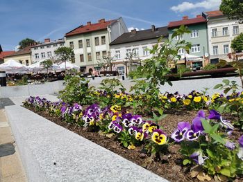Chrzanów: Bójka na Rynku. Jeden z uczestników użył siekiery