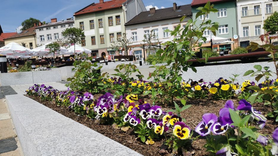 Rynek w Chrzanowie, na którym doszło do bójki pięciu mężczyzn 