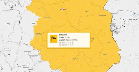 Nad region nadciąga wichura. Prędkość wiatru sięgnie 80 km/h. Alerty IMGW dla całego województwa