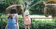 ​Gdańsk: Wieczorny spacer po ZOO. Potrzebne ciepłe ubrania i latarki. Będzie można skorzystać z noktowizorów. Obowiązują zapisy