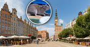 Pogoda w Gdańsku. Prognoza na piątek 22 maja. Słońce, brak opadów i łagodny wiatr z zachodu