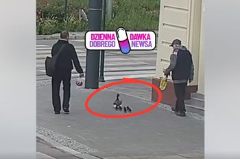 Nie mogli czekać. Potrzebna była eskorta. Wzruszająca akcja na ulicy