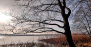 To tu odpoczywają Wielkopolanie! Sprawdź, gdzie nad wodę jeżdżą mieszkańcy Wielkopolski! Polecamy kilka ciekawych miejscówek!