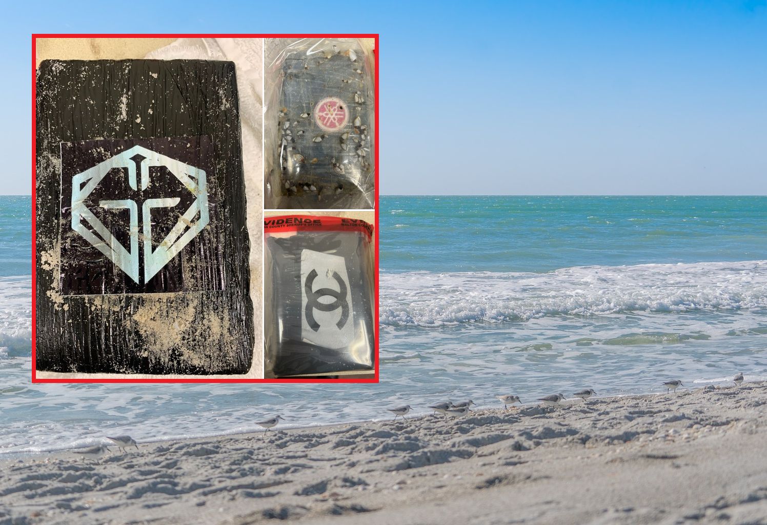 Tajemnicze pakunki na Florydzie. Znaleziono je na plaży