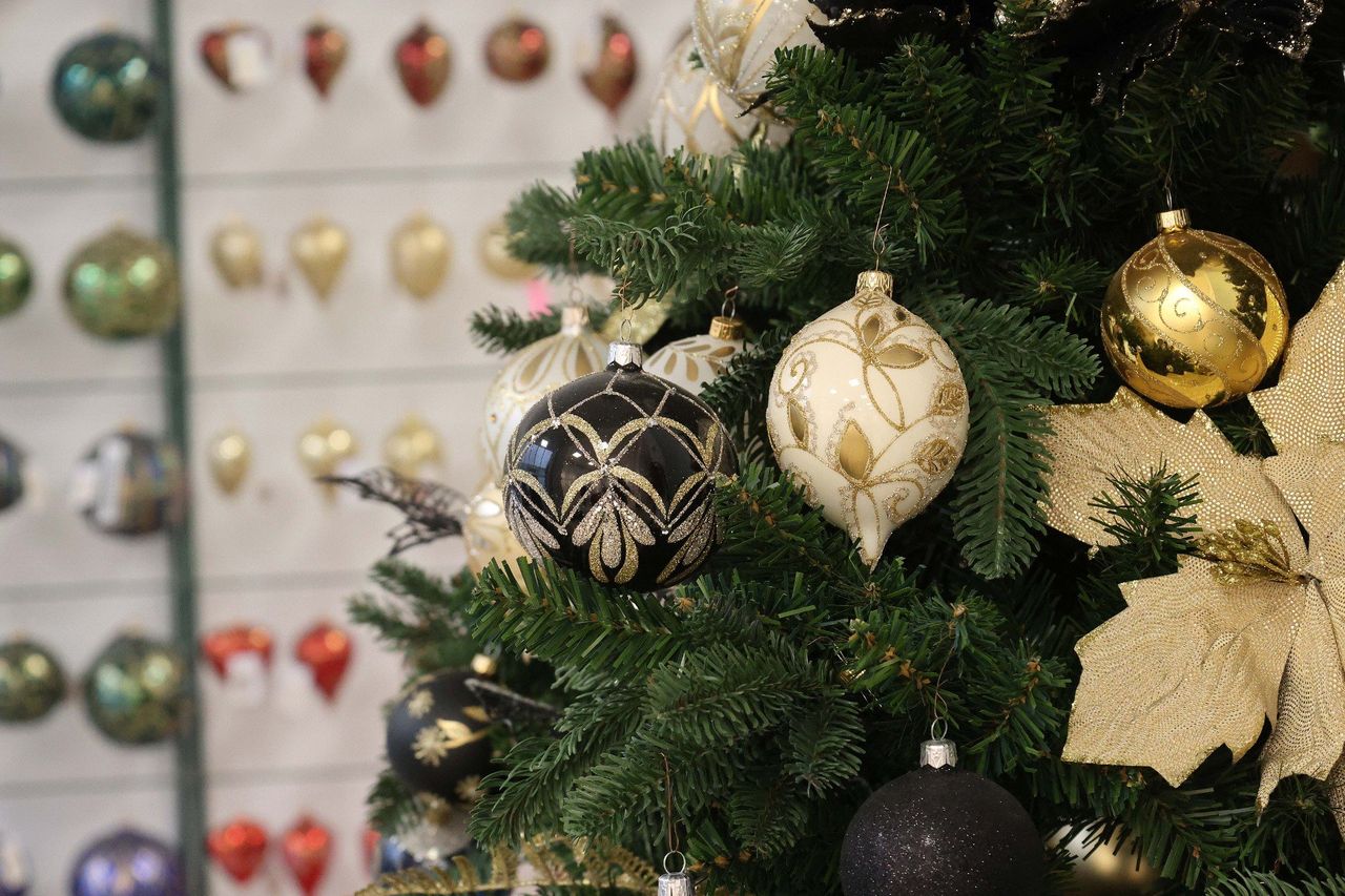 Bolewice: Spotkanie z Mikołajem, strojenie choinki i seans filmowy