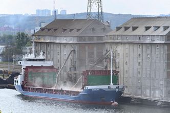 Kupujemy pszenicę z zagranicy. "Ministerstwo nie wie, ile w kraju jest zboża"