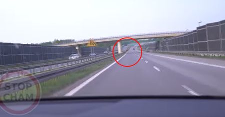 3 maja, godz. 17:38. Szokujący widok na S8. Jest nagranie