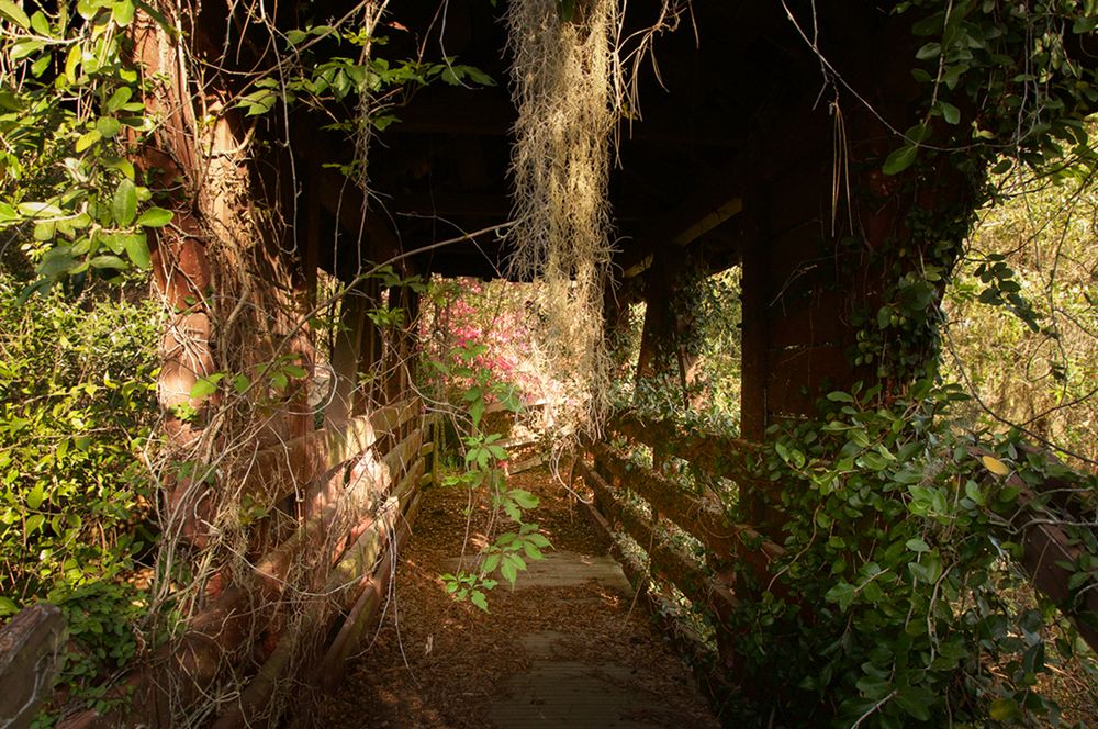 Czy opuszczony Disneyland wciąż może przypominać o dziecięcej radości? 9