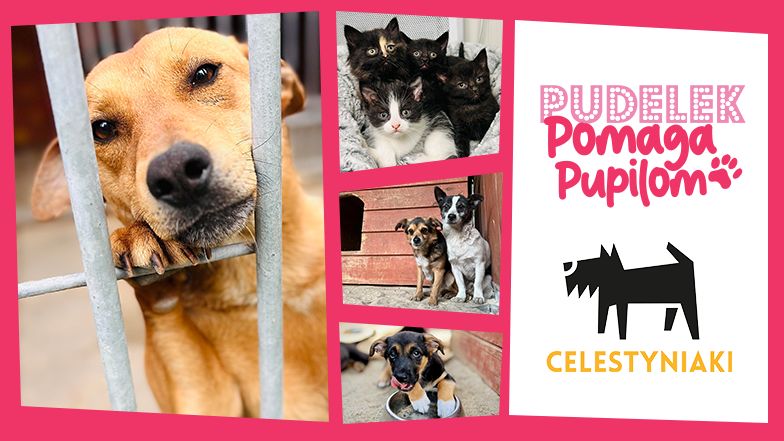 Pudelek wspiera Celestyniaki