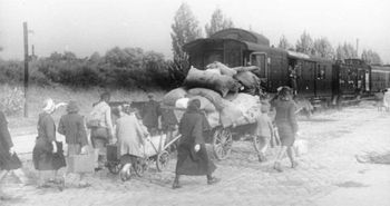 Niemcy po 1945 r. Wielu trafiło do obozów koncentracyjnych