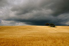 Flickr: subiektywny przegląd zdjęć tygodnia 14 4