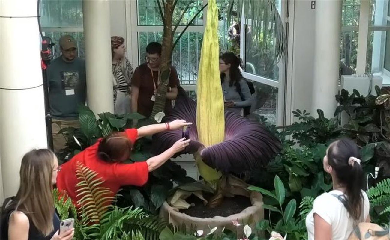 Szklarnia dla odwiedzających z zewnątrz otwarta jest od godz. 10