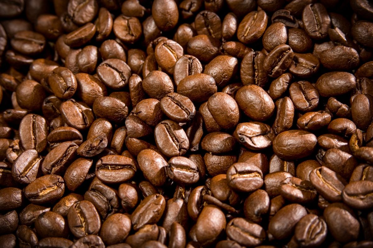 Coffee quickly absorbs the smells of what surrounds it.