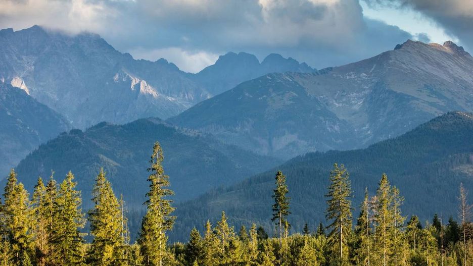 Dzień Długu Ekologicznego