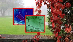 Cieplej nie będzie. Zimna i deszczowa jesień zostanie na dłużej