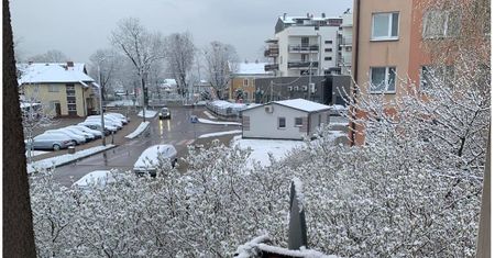 Pogoda. Śnieg i przymrozki. Ostrzeżenia IMGW