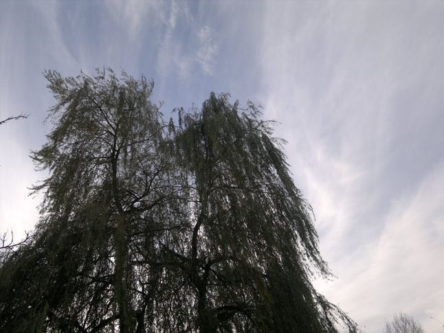 zdjęcie 10