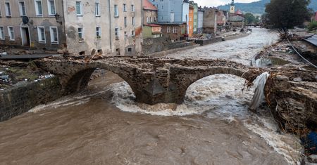 Będą sprawdzać bezpieczeństwo mostów. Sięgną po nietypową metodę