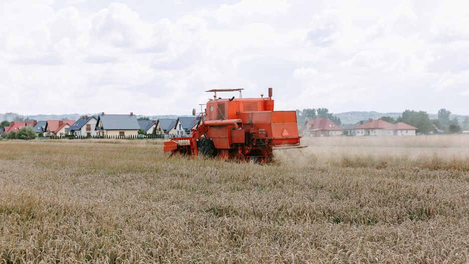 Większość regionów szykuje się pod małe żniwa.