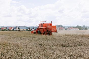 Skoszą zboża i zapewnią transport. Ile kosztują usługi na czas żniw?