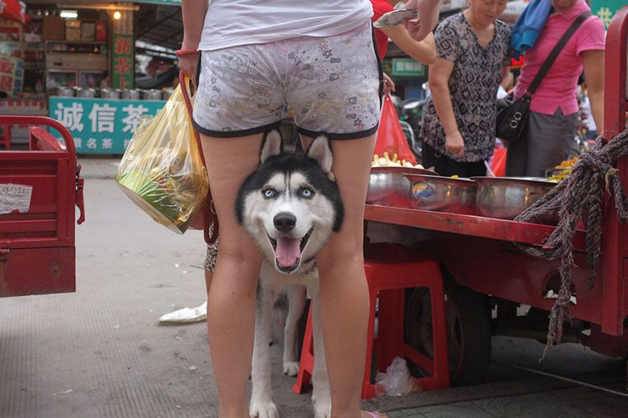 Tao Liu - fotograf amator z Chin, który stał się znany, dzięki humorystycznej fotografii ulicznej 15