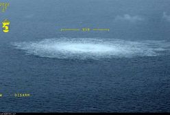 Eksplozja Nord Stream. Wołodymyr Z. aresztowany na siedem dni