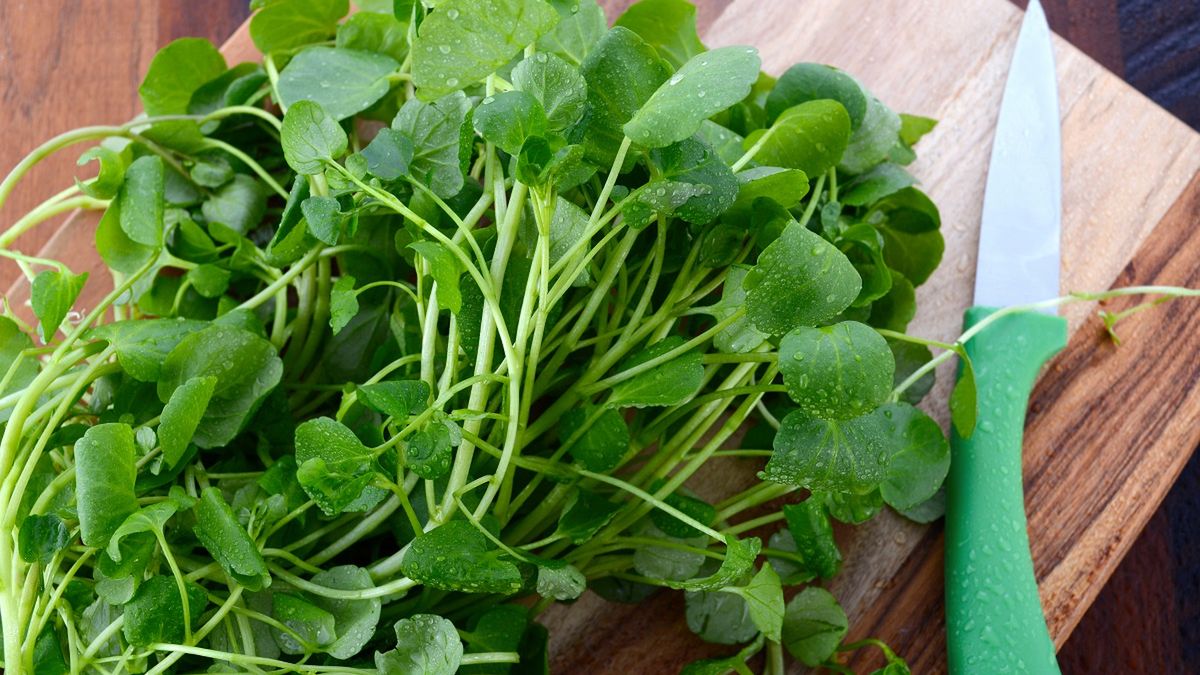 Możesz wyhodować na parapecie. Jest zdrowsza niż pomidor czy marchewka