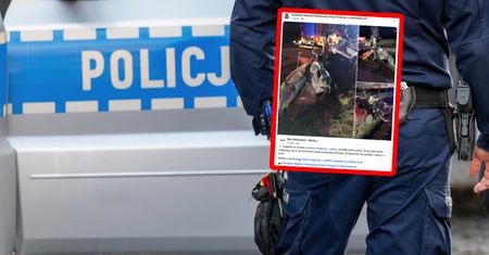 Z auta została miazga. Tragedia pod Skierniewicami