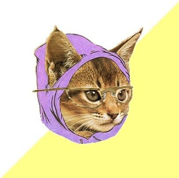 Nyan Cat, kot paczacz, Kitler. 10 najlepszych kocich memów [wideo i zdjęcia] 7