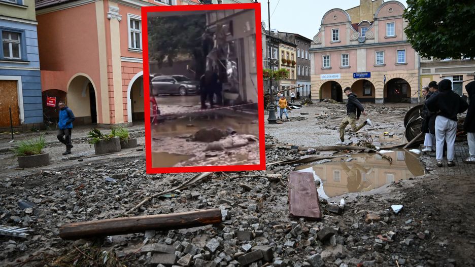 Wojsko pomoże policji walczyć z szabrownikami