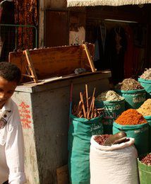 Kryzys walutowy w Egipcie. Ludzie nie kupują leków, stać ich tylko na zioła