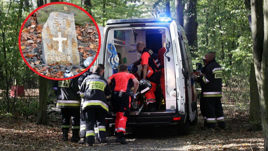 Chłopca przygniótł konar. O jego śmierć oskarżono nauczyciela