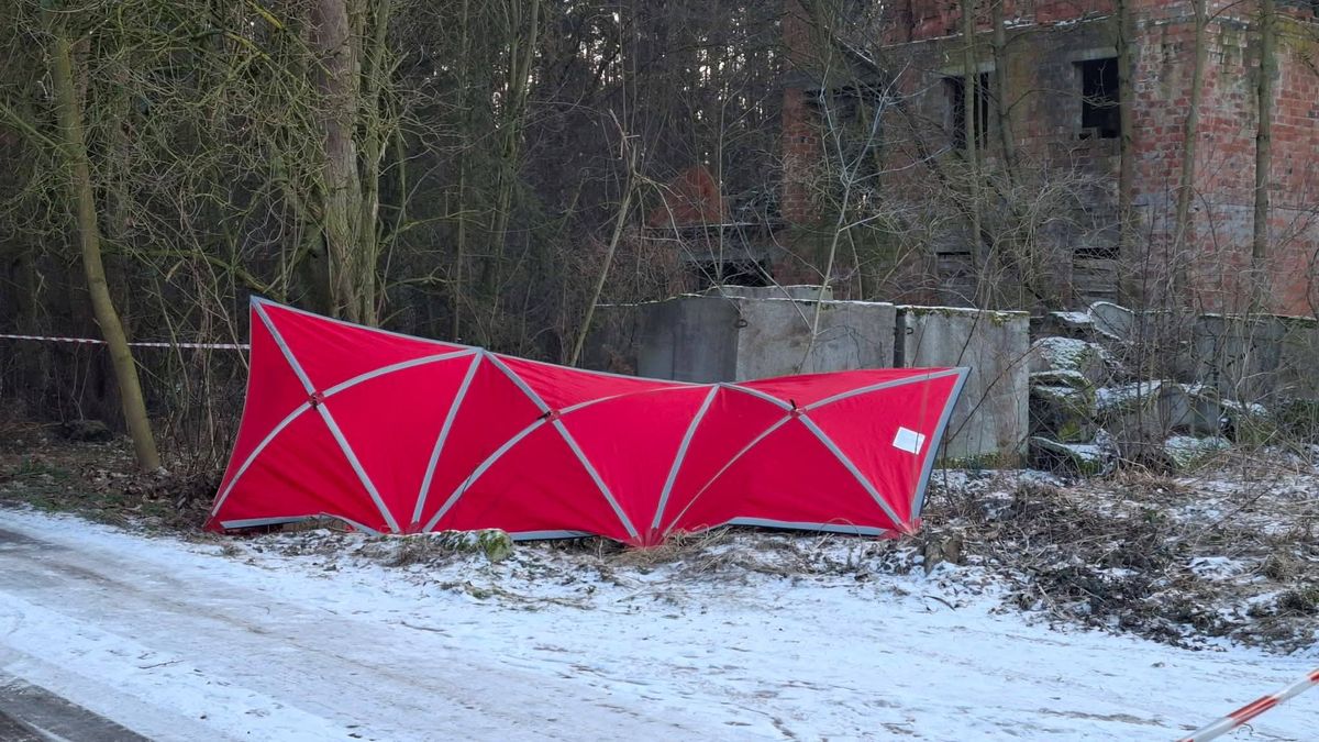 Akcja służb pod Starym Dębcem