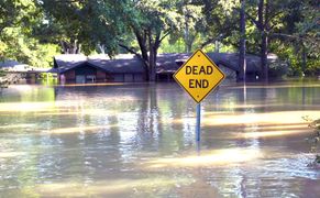 National Geographic Wild Niszczycielskie żywioły