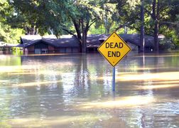 National Geographic Wild Niszczycielskie żywioły