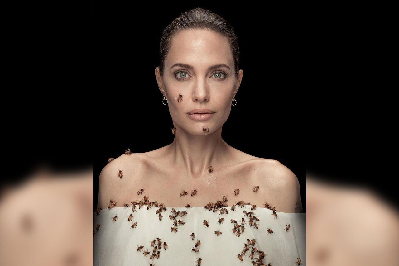 I wtedy wchodzi ona – cała w pszczołach. Angelina Jolie na okładce Nat Geo przypomina zdjęcie Avedona