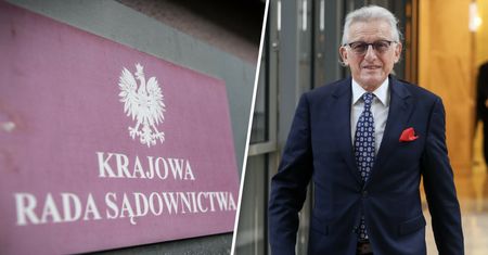 Przychodzi KRS do Piotrowicza. Czego się spodziewać?